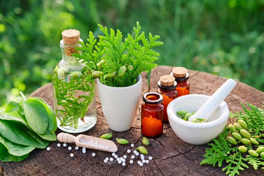 The Center for Holistic Wellness professional holistic care and reflexology practitioners Frederick MD therapy